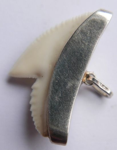 Vintage Sterling Silver Mounted Sharks Tooth Pendant