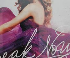 Taylor Swift  - Speak Now.