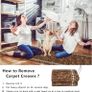 Carpet Runner for Hallways Non Slip Runner Rugs for Kitchen Washablel Floor Carpet Runner Hallway Rug Runners for Entryway Bedroom Laundry Doorway(Brown,65x240cm) Image 6