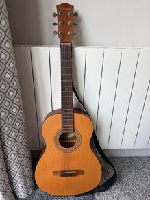 Fender M1 model