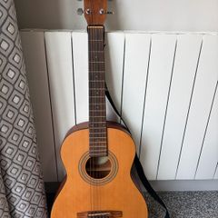 Fender M1 model