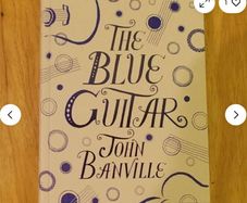 The Blue Guitar John Banville Penguin Hardback book excellent condition