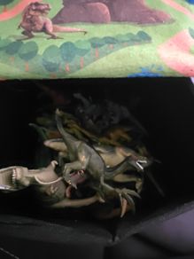Dinosaur