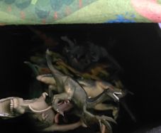 Dinosaur