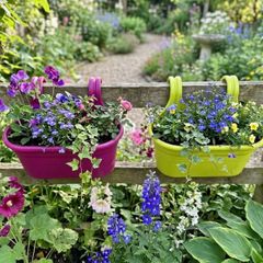 hanging pots