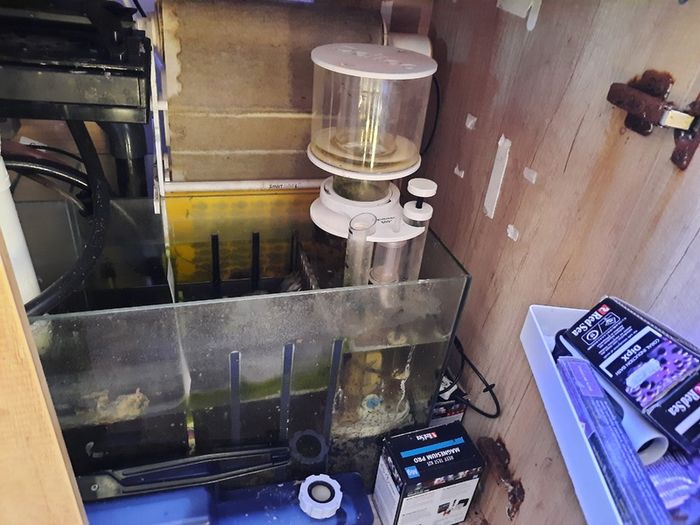 Complete Running Reef Tank