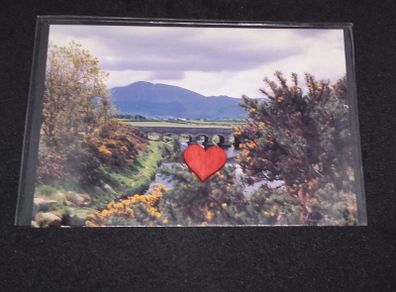 Northern Ireland Postcard : The Mourne Mountains Near Newcastle Co. Down