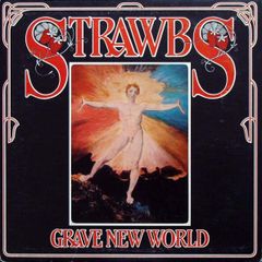 Strawbs > Grave New World Vinyl LP