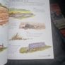 Acrylics: Step-By-Step Acrylics for the Absolute Beginner (Collins You Can Paint) Image 6