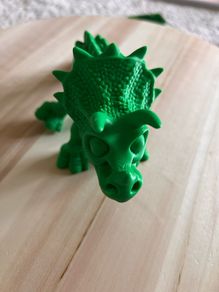 Flexi Skeleton Triceratops Dinosaur