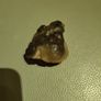 Kidney agate NWA. Image 9