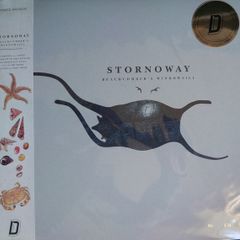 Stornoway: Beachcomber's Windowsill LP, Limited Edition, Numbered