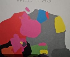 Wild Flag - Wild Flag.