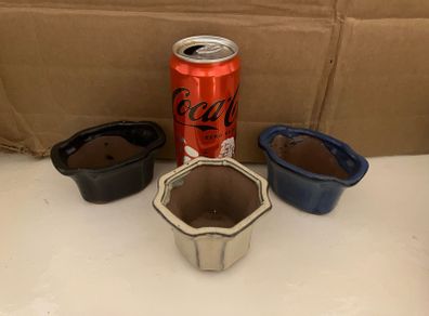 Extra small pots for bonsai trees