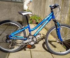 Ridgeback Destiny 24" Girls Bike