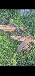 Vintage Farm Cart Wheels & Axle
