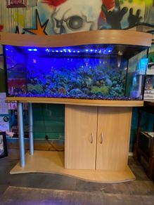 Fish Tank