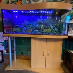 Fish Tank