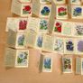 Kensitas Medium Silk Cigarette Cards Flowers 1934 - 31 Medium and 4 Small Image 10