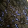 Escada Margaretha Ley black lace over blue Dress size 10 Image 3