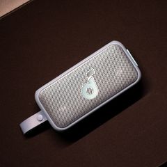 Soundcore Motion 300