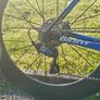 Giant TCR Image 7