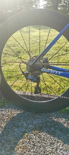 Giant TCR