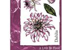 Sheena Douglass A6 Stamps