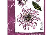 Sheena Douglass A6 Stamps