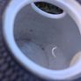 Royal Bayreuth Art Deco Cigar Ashtray and Match Striker Image 9