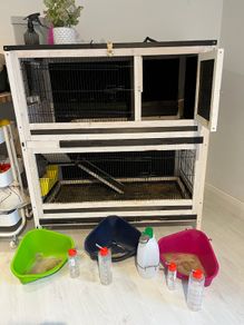 Rabbit cage