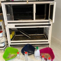 Rabbit cage