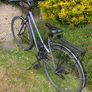 Ladies Bike Image 8