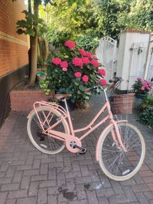 ladies bike