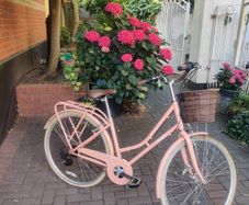 ladies bike