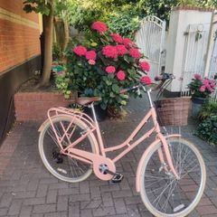 ladies bike