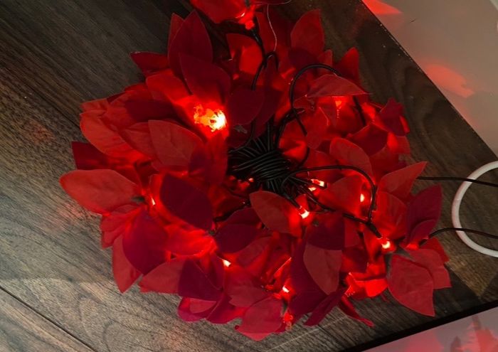 Christmas selection for decorations or artwork