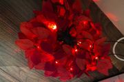 Christmas selection for decorations or artwork