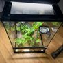 HabiStat Glass Terrarium Image 9