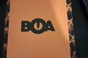 Boa Safety Boots (BRAND NEW)