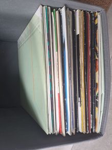 Vinyl lot