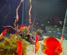 aquarium