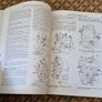 Renault 5 Vintage Haynes Manual Image 4