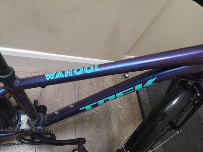 Trek 24" Bike