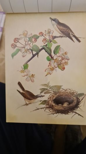 The Country Diary Postcards Collection 21 Fabolous County Diary Postcards In Very Good Condition.