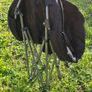 Outwell Casilda Black Camping Chair Image 9