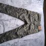 Motorcycle trousers Image 3
