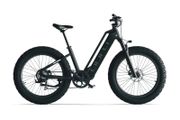 CYRUSHER AURA Step-Through Electric Bike 250W
