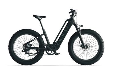 CYRUSHER AURA Step-Through Electric Bike 250W