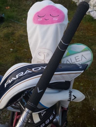 Set of Ladies Golf Clubs